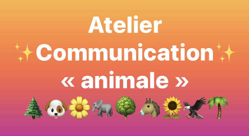 Atelier Communication animale en charente