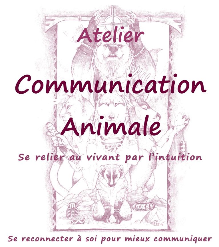 Atelier communication animale en Charente