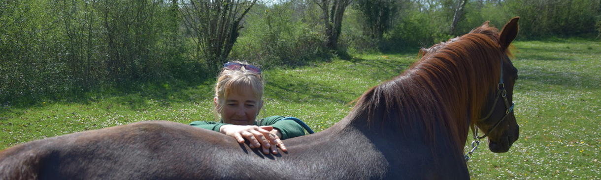 Ostopathe animalier Dordogne Charente Haute vienne