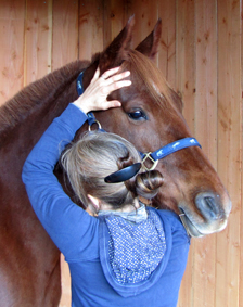 osteopathe animalier en dordogne pour chevaux