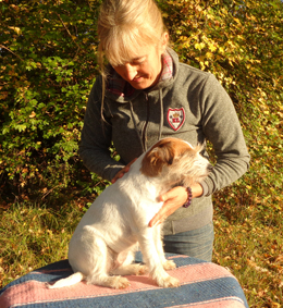 ostopathe animalier pour chien en charente